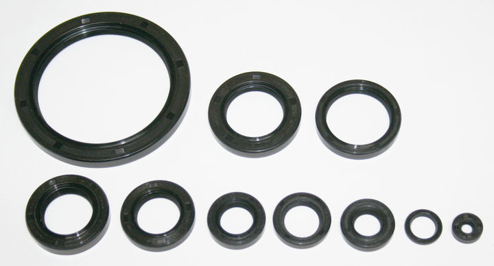 Honda GL500 GL500I engine oil seal kit
