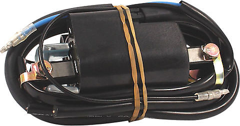 Ignition Coil - Goldwingparts.com