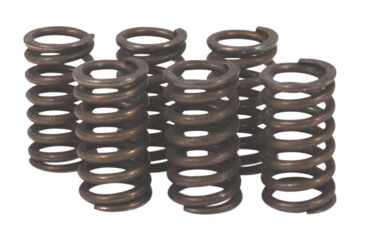 Honda GL500 GL500I clutch spring kit