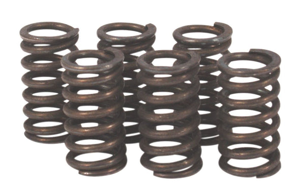 Honda GL500 GL500I clutch spring kit
