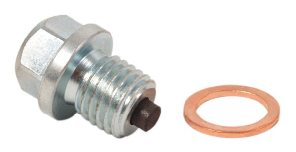 Honda GL650 magnetic oil drain plug