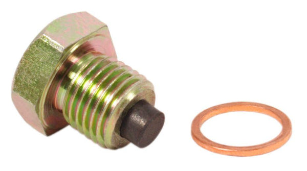 Honda GL1800 magnetic oil drain plug