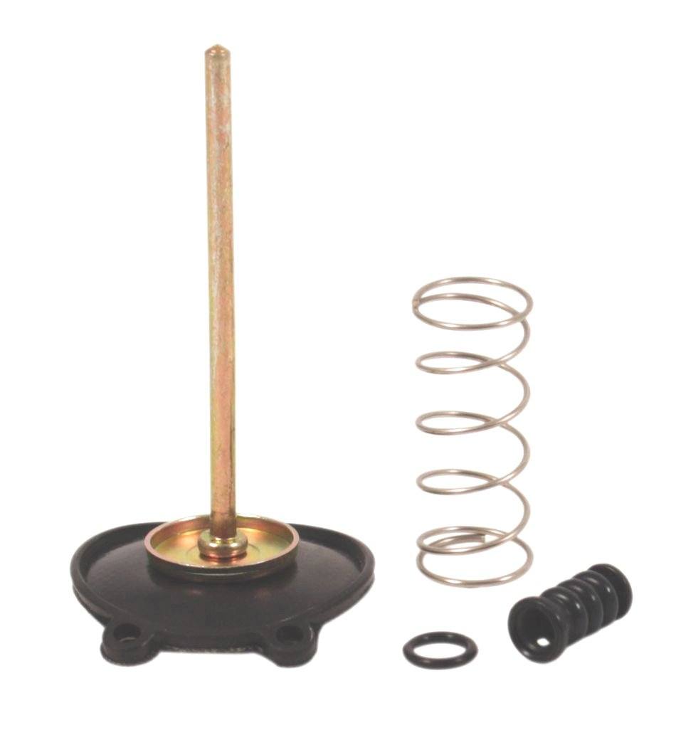 Carb Pump Diaphragm - Goldwingparts.com